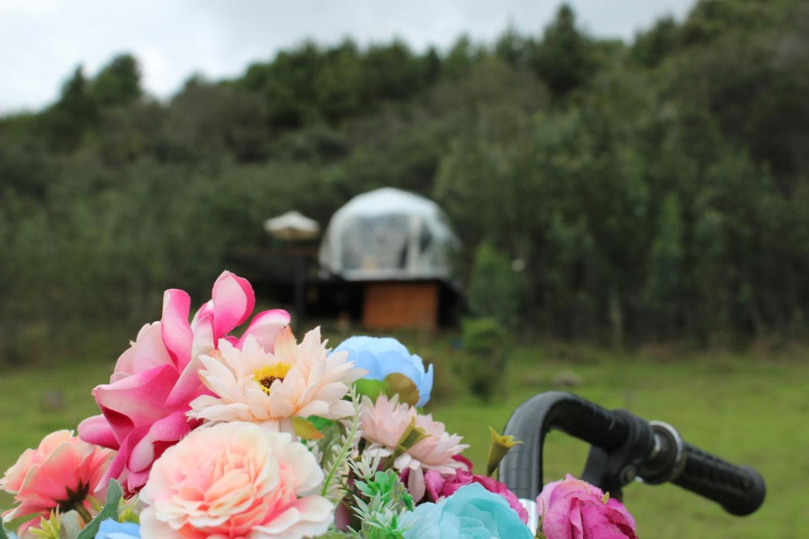 Glamping La Villa Guatavita Exterior foto